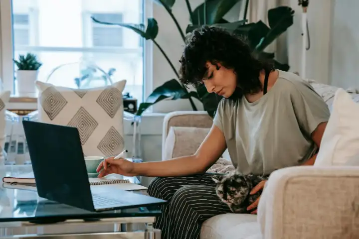 A woman at home using a laptop with a cat beside her.